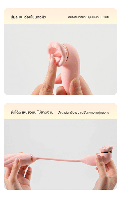 ROSELE - Qiaoer Application