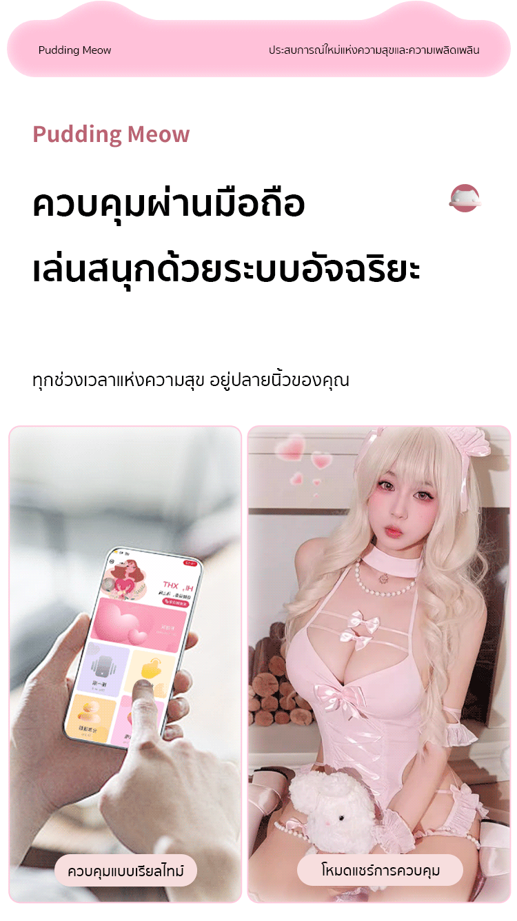 Mizzzee - Pudding Meow 2in1